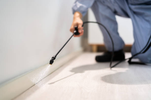 Rodent Entry Point Assessment in North Ridgeville