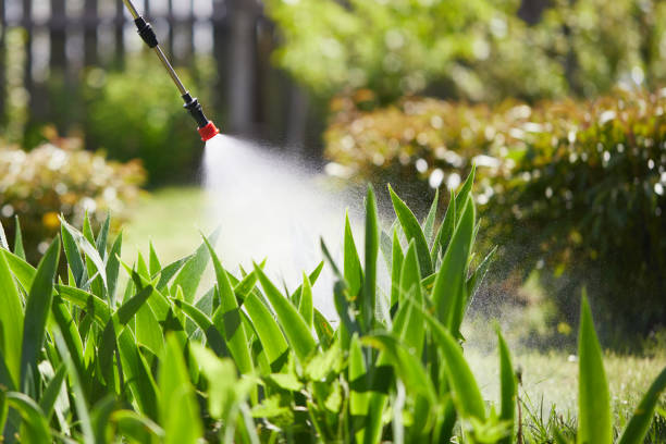 Tamper-Resistant Bait Stations for Rodents in North Ridgeville