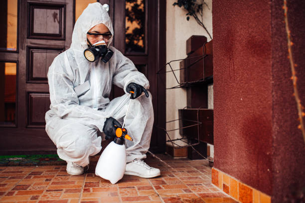 Attic and Crawl Space Rodent Treatment in North Ridgeville