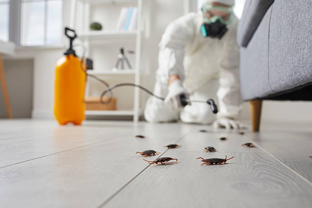 Commercial Rodent Management in North Ridgeville